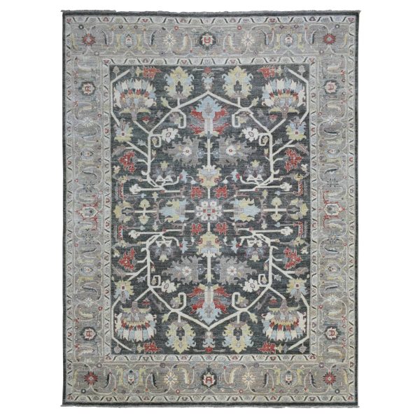 9'3"x11'9" Rich Black Afghan Peshawar with Heriz Design Extra Soft Wool Hand Knotted Oriental Rug HR69938