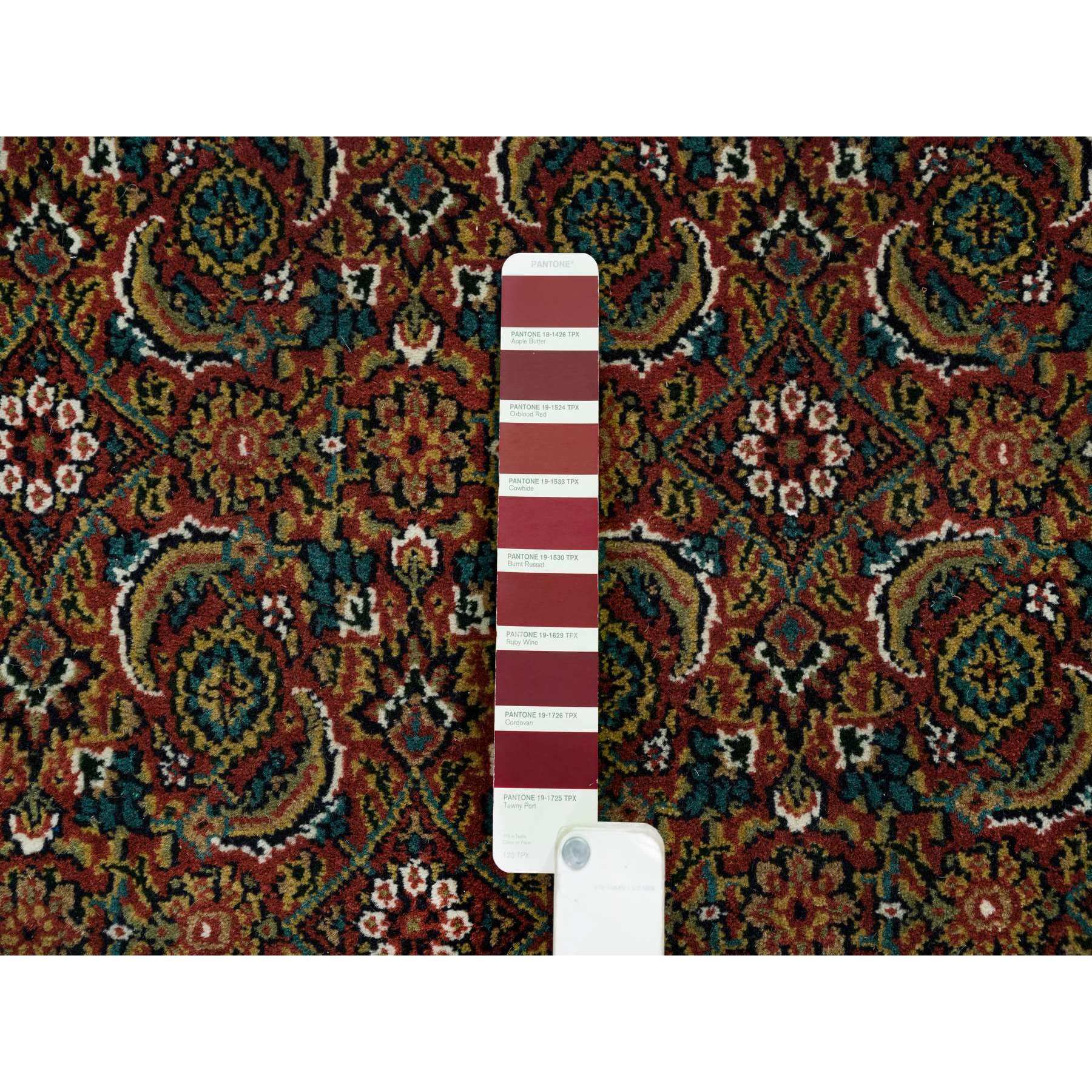 6'x9'5" Red, Herati All Over Fish Design Hand Knotted, 250 KPSI Wool and Silk, Dense Weave, Oriental Rug HR65109 - Image 7