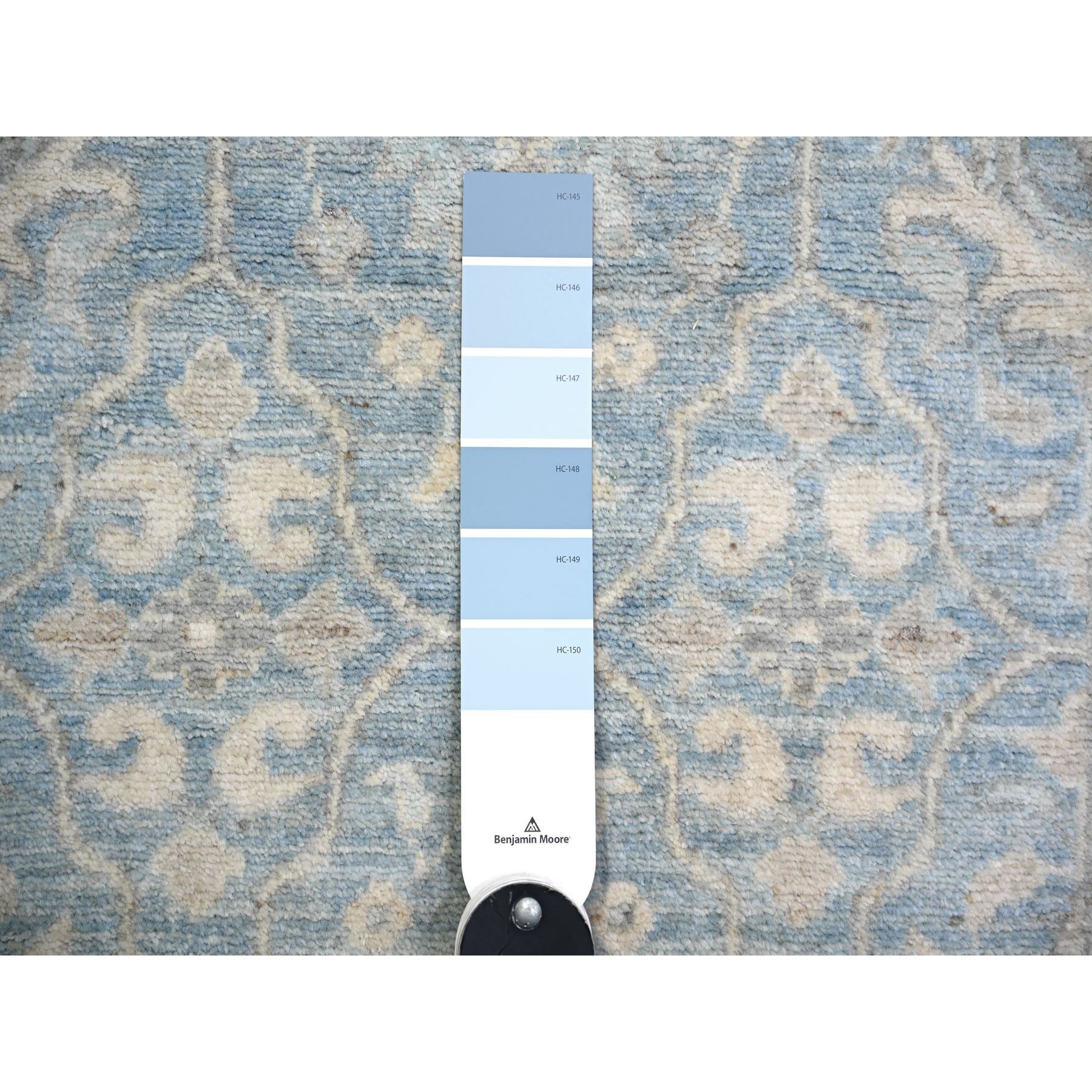 2'8"x15'2" Ruddy blue, Finer Peshawar with All Over Design, Natural Dyes, Pure Wool, Hand Knotted, XL Runner Oriental Rug HR74133 - Image 3