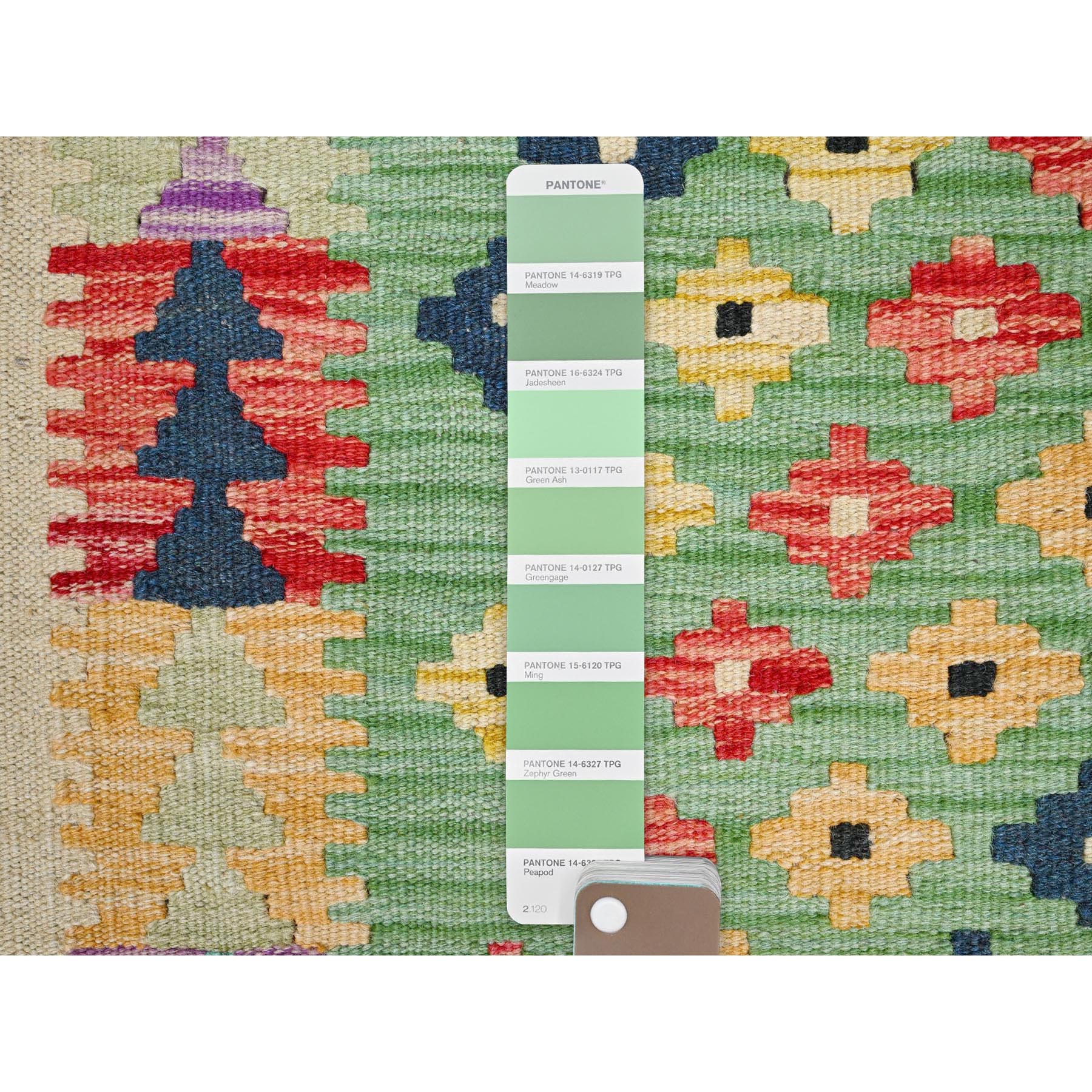 2'x3' Fern Green, Natural Dyes, Soft Wool, Reversible, Flat Weave, Afghan Kilim with Geometric Pattern, Hand Woven, Oriental Rug HR85749 - Image 4