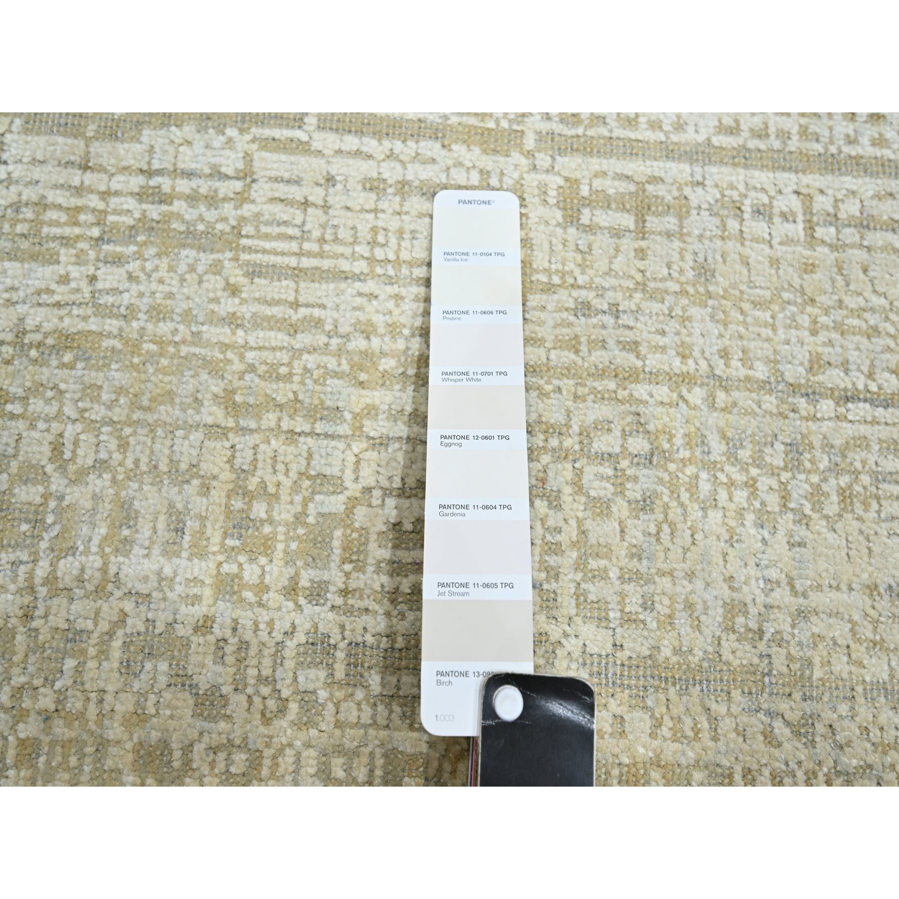 9'x12'4" Shades of Ivory, Gradation Design, Modern, Textured Wool & Pure Silk, Hand Knotted, Oriental Rug HR75505 - Image 7