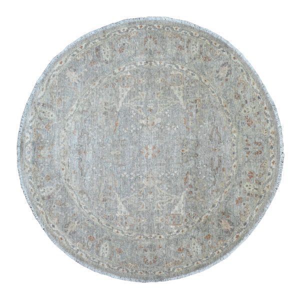6'x6' Powder Blue, All Over Ziegler Mahal Design, Washed Out with Balanced Color Shades, Hand Knotted, Pure Wool, Round, Oriental Rug HR20342