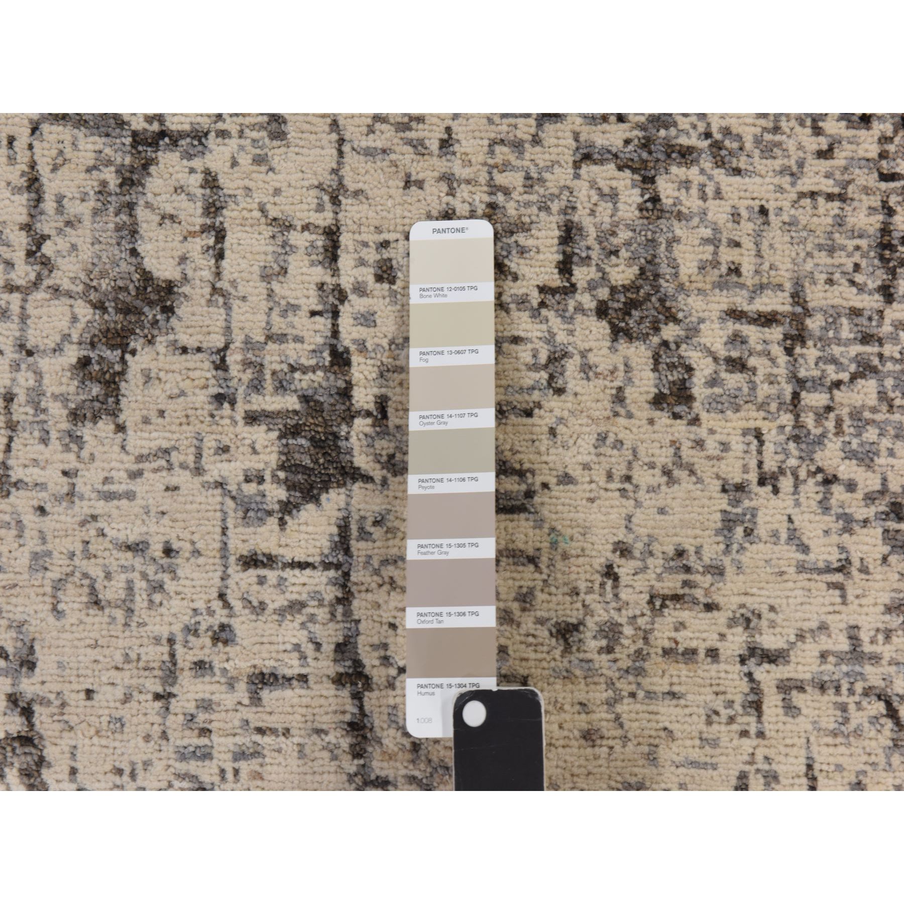 6'x9' Oyster Gray, Fossil Design, Soft to the Touch, 100% Wool, Hand Knotted, Modern, Oriental Rug HR78390 - Image 5