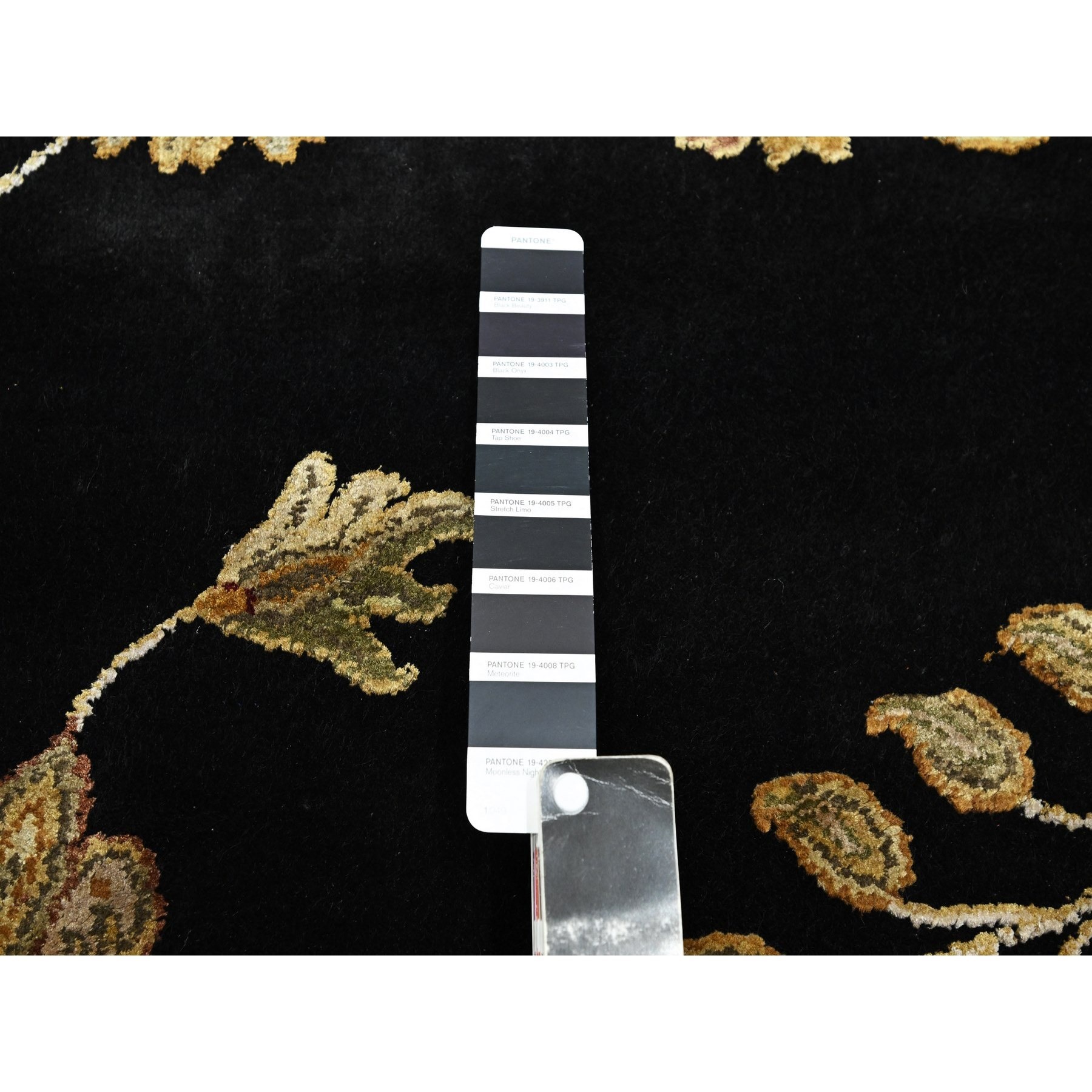 8'2'x10' Onyx Black, Borderless Botanical Design, Half Wool and Half Silk, Densely Woven, Soft Pile, Hand Knotted, Oriental Rug HR75580 - Image 7