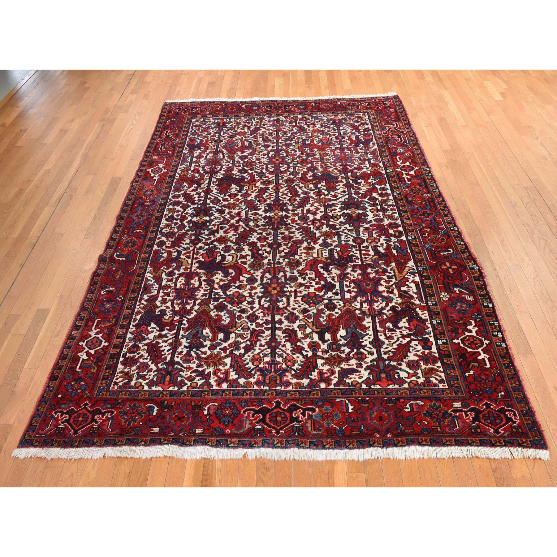 8'3"x11'1" Daisy White, Antique Persian Heriz, Good Condition, Clean, Full Pile, All Over Flower Geometric Design, 100% Wool, Hand Knotted, Oriental Rug HR78433 - Image 2