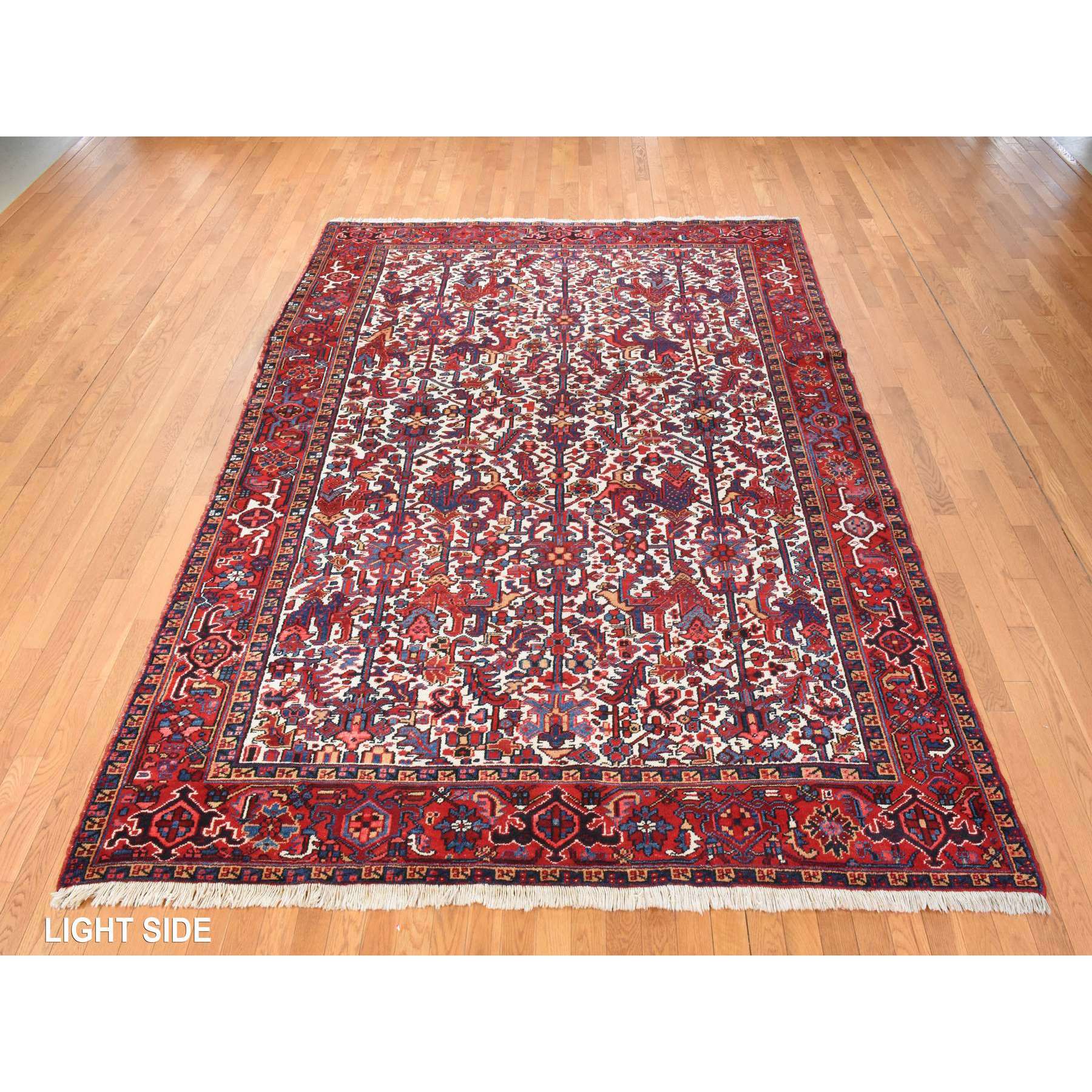 8'3"x11'1" Daisy White, Antique Persian Heriz, Good Condition, Clean, Full Pile, All Over Flower Geometric Design, 100% Wool, Hand Knotted, Oriental Rug HR78433 - Image 3