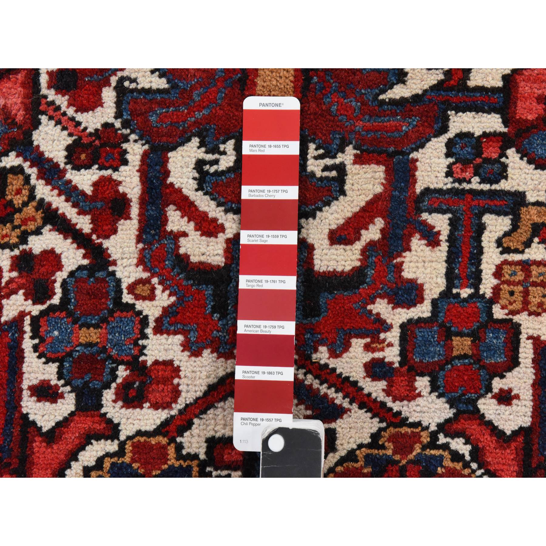 8'3"x11'1" Daisy White, Antique Persian Heriz, Good Condition, Clean, Full Pile, All Over Flower Geometric Design, 100% Wool, Hand Knotted, Oriental Rug HR78433 - Image 6