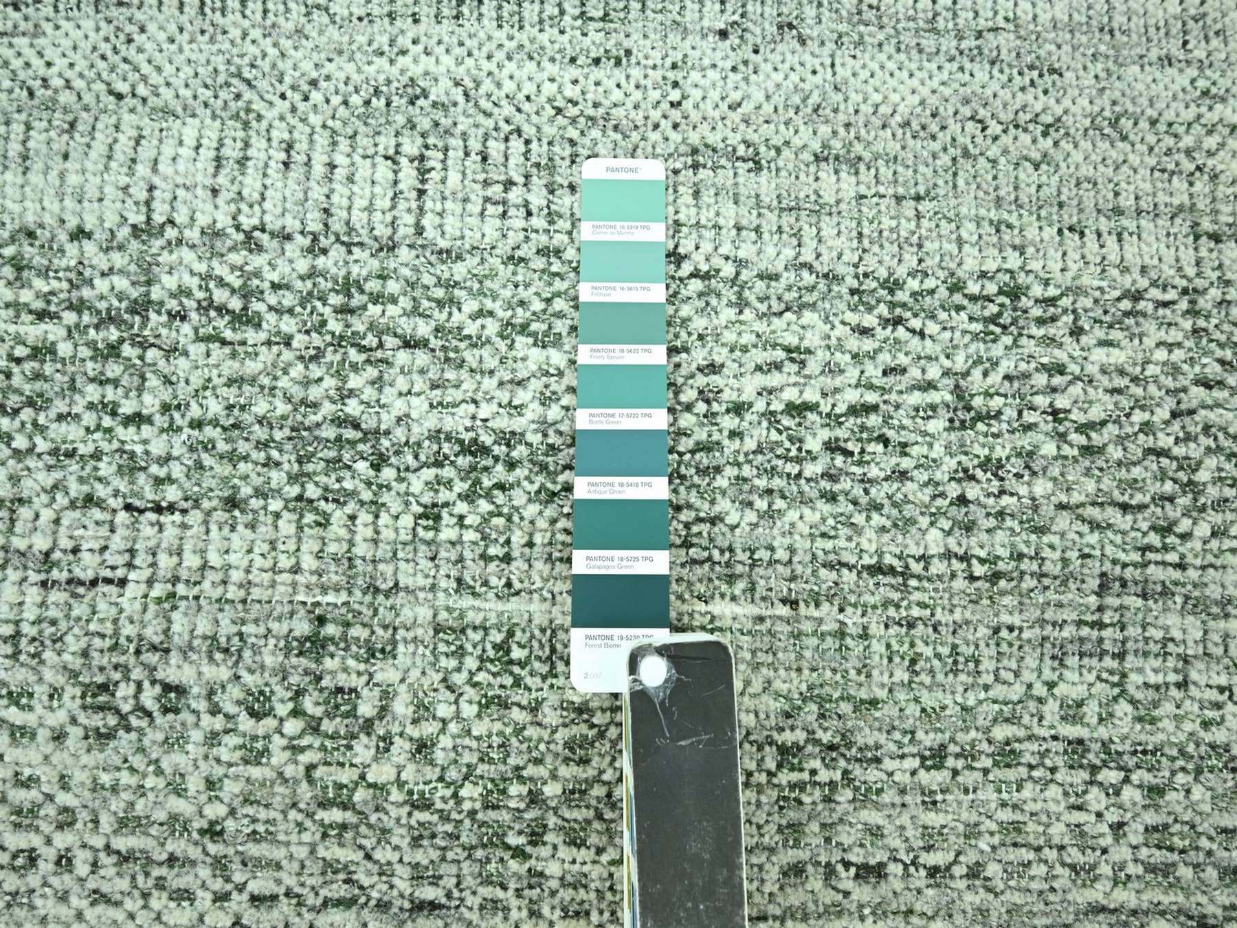 9'1"x12' Basil Green with Ivory, Hand Knotted, Oxidized and Distressed Grass Design with Exposed Warps, 100% Wool, Oriental Rug HR76984 - Image 7