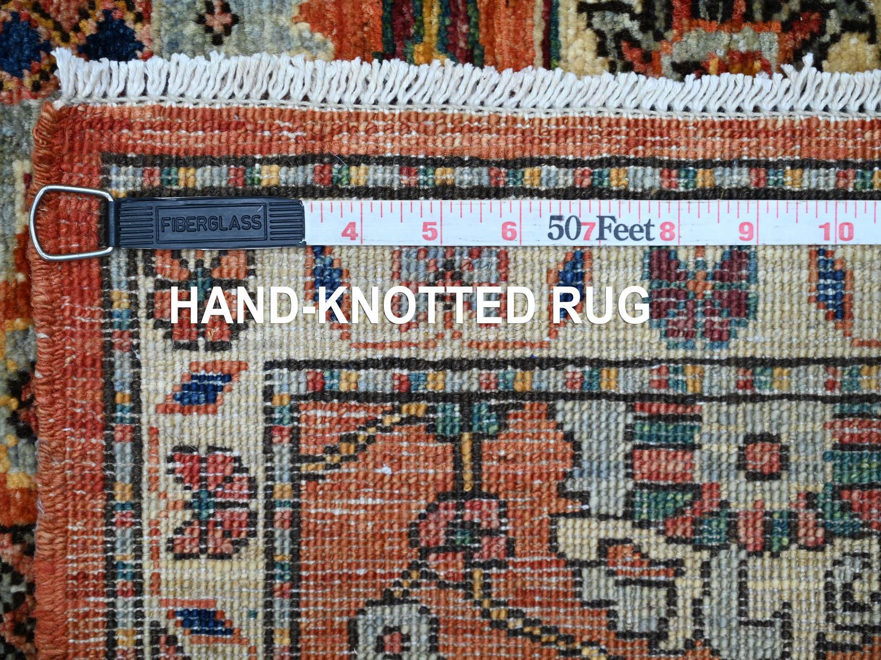 2'8"x15'9" Rust Red, Northwest Persian All Over Design, Aryana Grade, Vegetable Dyes, Soft Pile, High Mountain Wool, Hand Knotted, Densely Woven, XL Runner, Oriental Rug HR21155 - Image 6