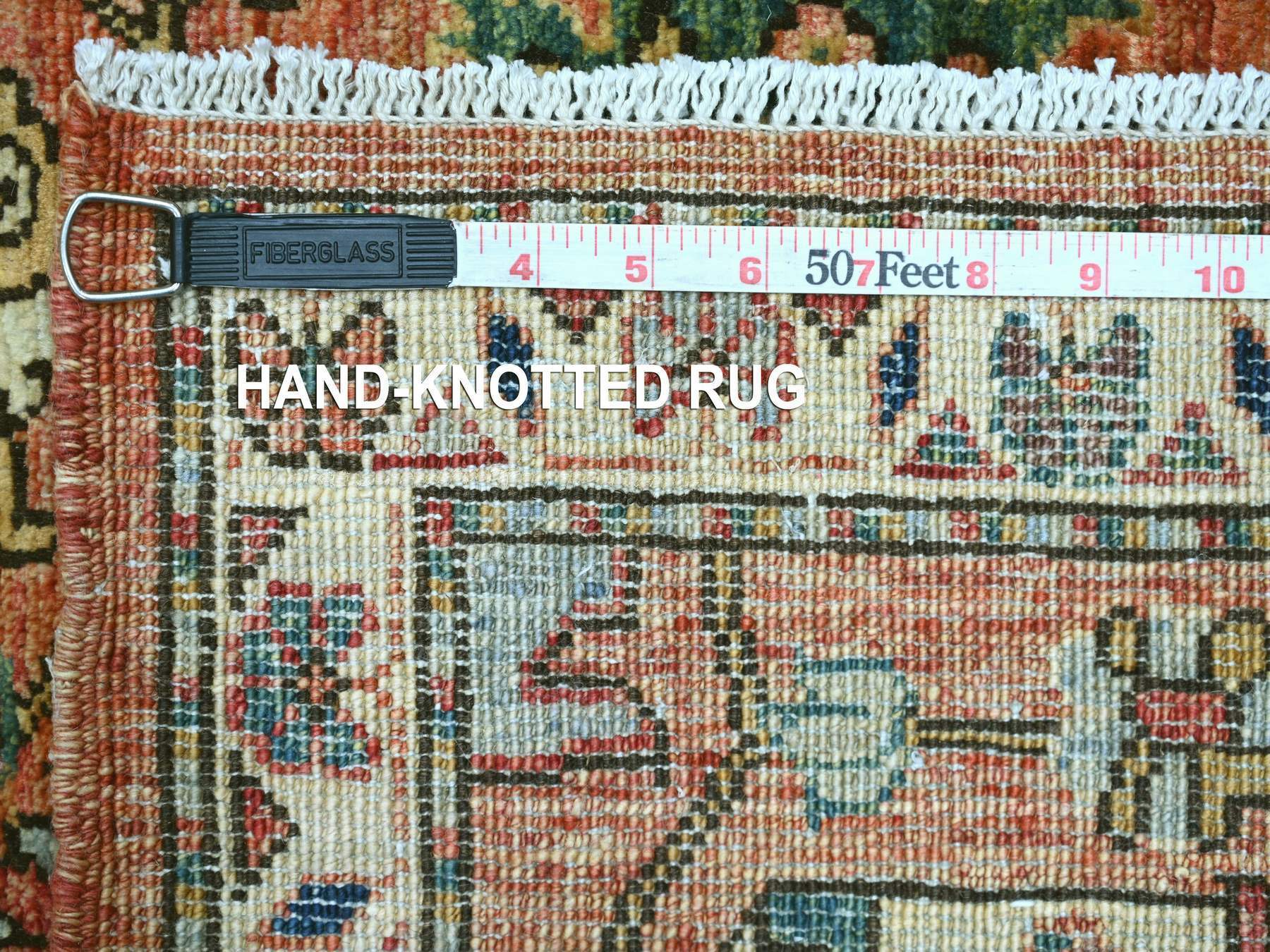 2'8"x19' Coral Red, Northwest Persian All Over Design, Aryana Grade, Hand Knotted, Vegetable Dyes, Soft Pile, High Mountain Wool, Densely Woven, XL Runner, Oriental Rug HR21317 - Image 6