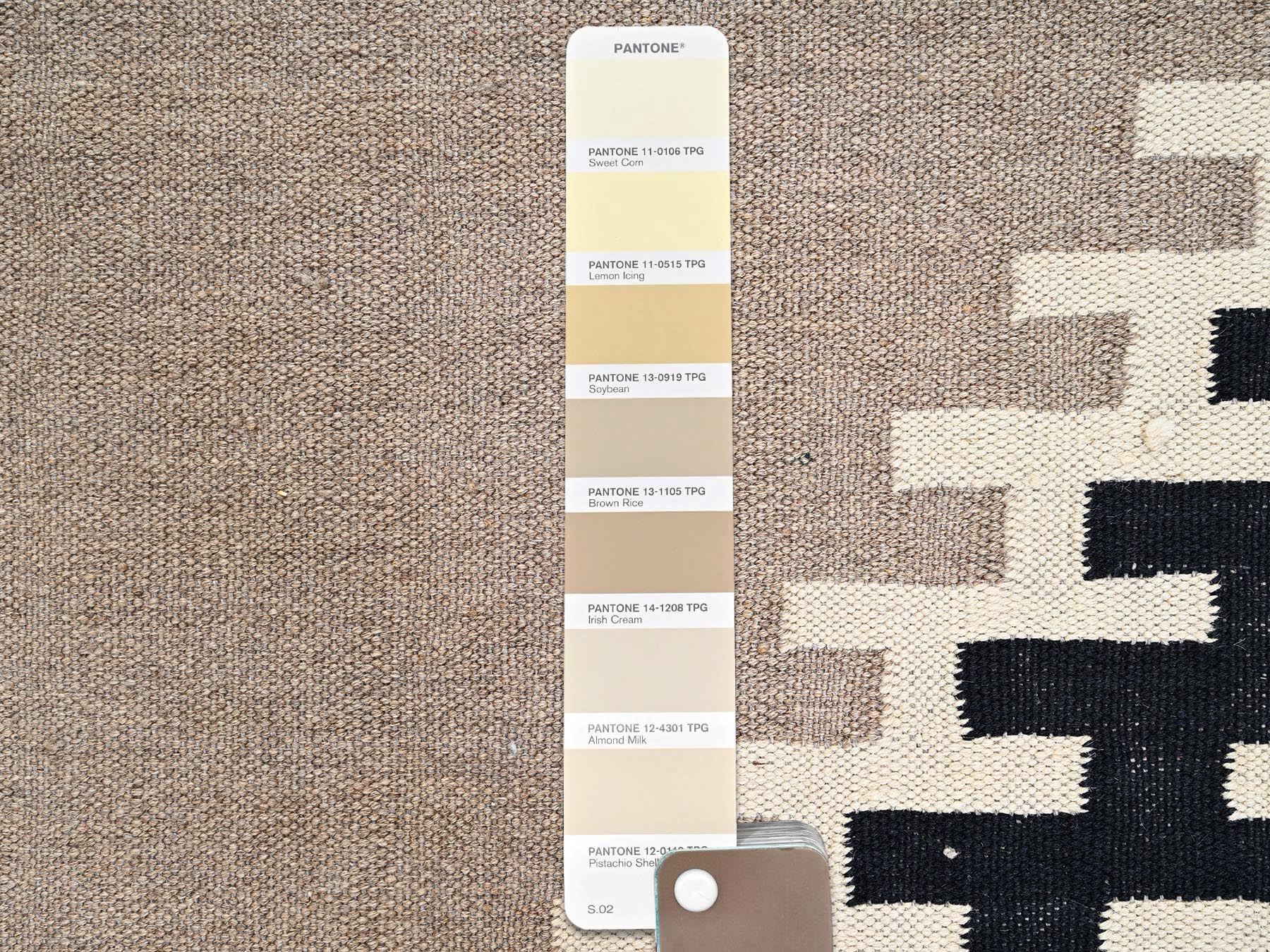 8'1"x10' Khaki Brown, Hand Woven, Flat Weave, American Indian Southwest Geometric Design, 100% Wool, Oriental Rug HR2295 - Image 5