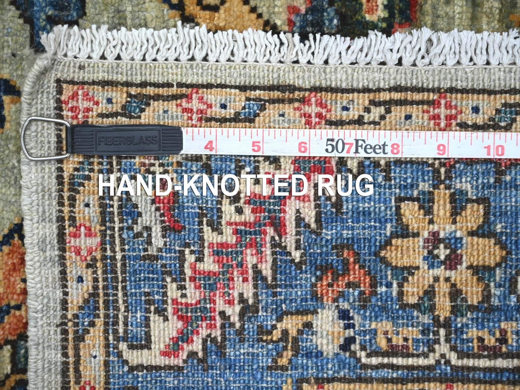 3'1"x15'9" Light Green, Aryana Collection, Heriz Design, Hand Knotted, High Mountain Wool, Soft Pile, Vegetable Dyes, Densely Woven, XL Runner, Oriental Rug HR21266 - Image 6