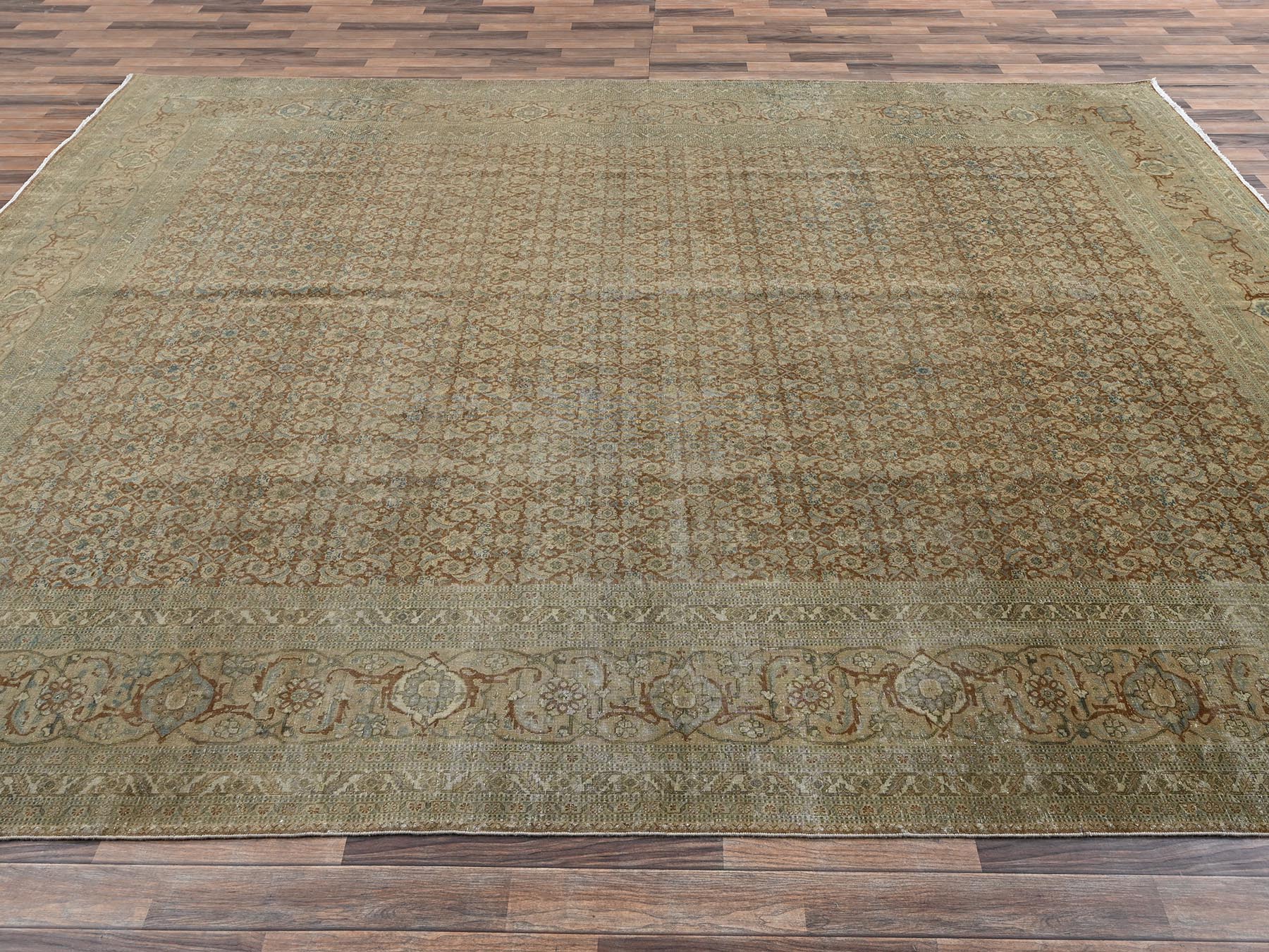 9'9"x12'9" Burro Brown, Distressed and Washed Out, Antique Persian Haja Jalili Tabriz with All Over Fish Mahi Design, Intricate Pattern with Earth Tone Colors, Hand Knotted, 100% Wool, Oriental Rug HR2534 - Image 4
