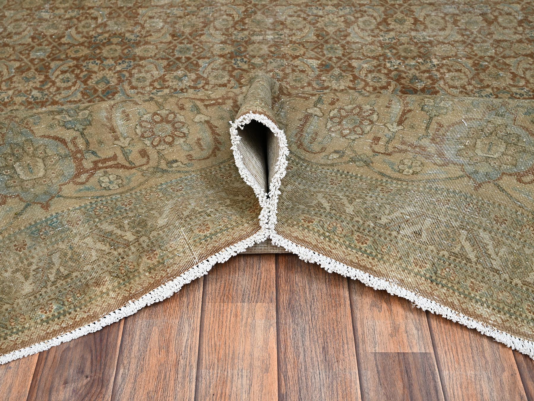 9'9"x12'9" Burro Brown, Distressed and Washed Out, Antique Persian Haja Jalili Tabriz with All Over Fish Mahi Design, Intricate Pattern with Earth Tone Colors, Hand Knotted, 100% Wool, Oriental Rug HR2534 - Image 6