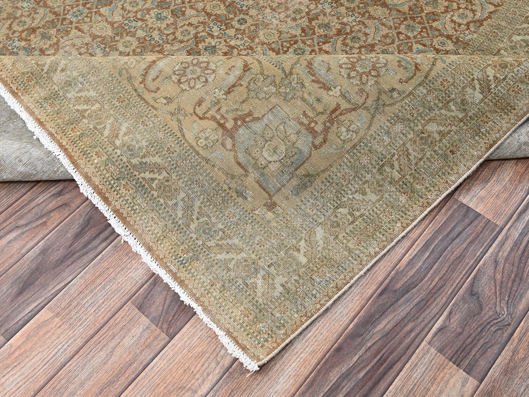 9'9"x12'9" Burro Brown, Distressed and Washed Out, Antique Persian Haja Jalili Tabriz with All Over Fish Mahi Design, Intricate Pattern with Earth Tone Colors, Hand Knotted, 100% Wool, Oriental Rug HR2534 - Image 7