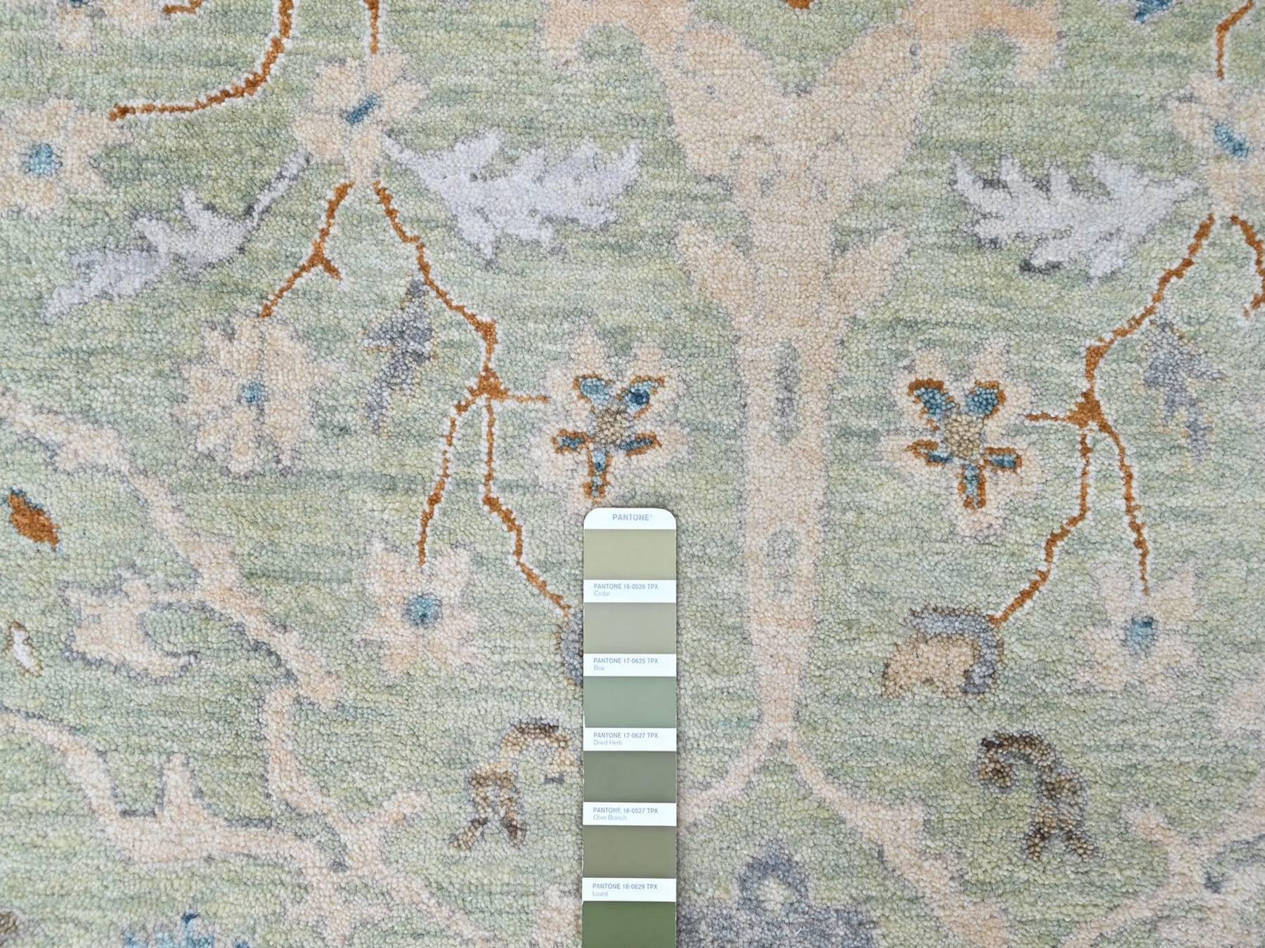 9'2"x11'10" Pistachio Green, Oushak with Floral Motifs, Hand Knotted, Pure Wool, Soft Pile, Denser Weave, Oriental Rug HR10599 - Image 7