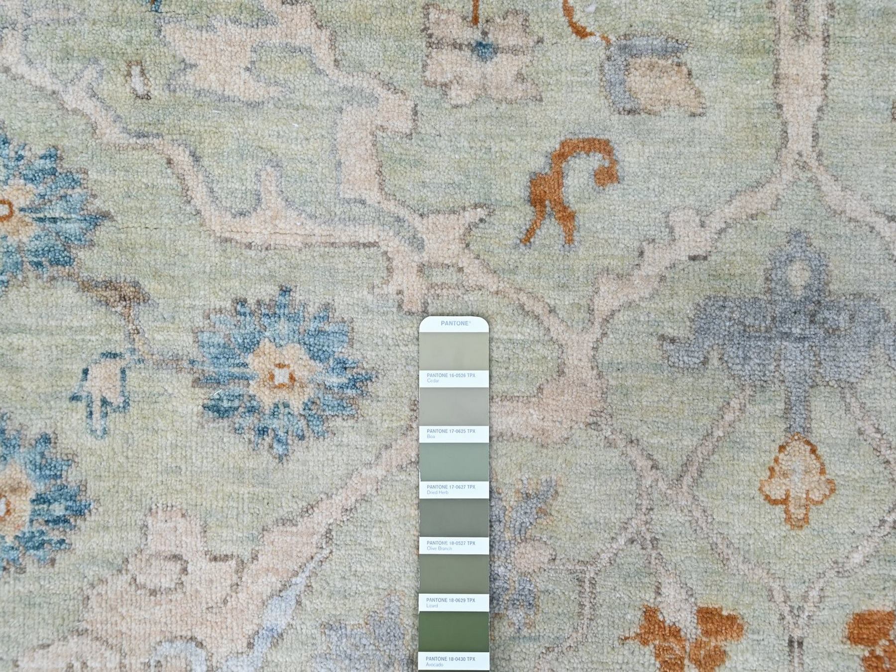 10'x13'10" Pistachio Green, Oushak with Floral Motifs, Hand Knotted, Pure Wool, Soft Pile, Denser Weave, Oriental Rug HR10600 - Image 7