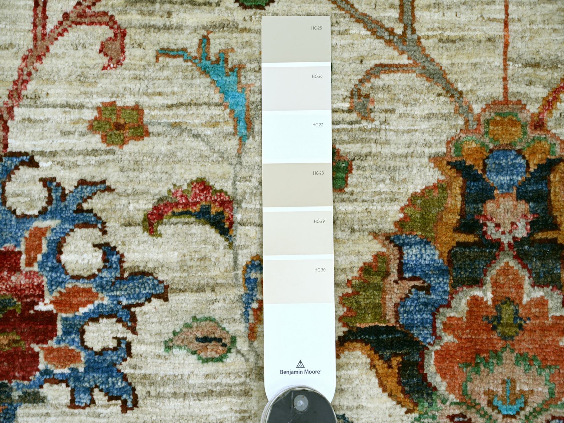 10'7"x13'7" Oyster White, Afghan Sultani with Pomegranate Design, Denser Weave, Vegetable Dyes, Hand Knotted, Soft Wool, Oriental Rug HR21402 - Image 7